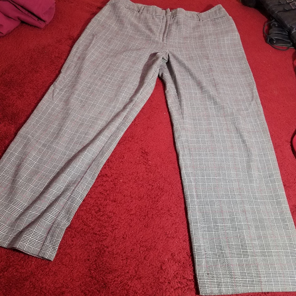 212 Collection Dress Pants